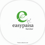 ایزی پیسہ کاروبار